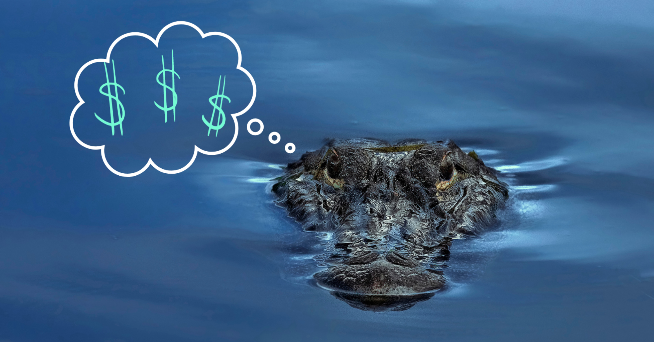 Gator Lending Strategy lead