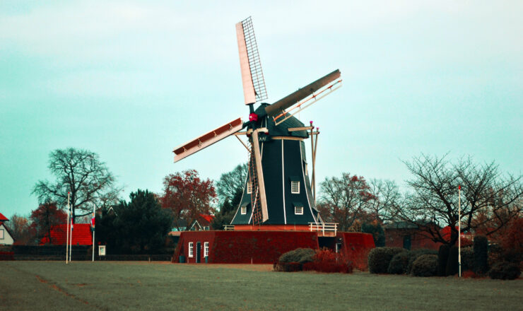 Dutch Interest